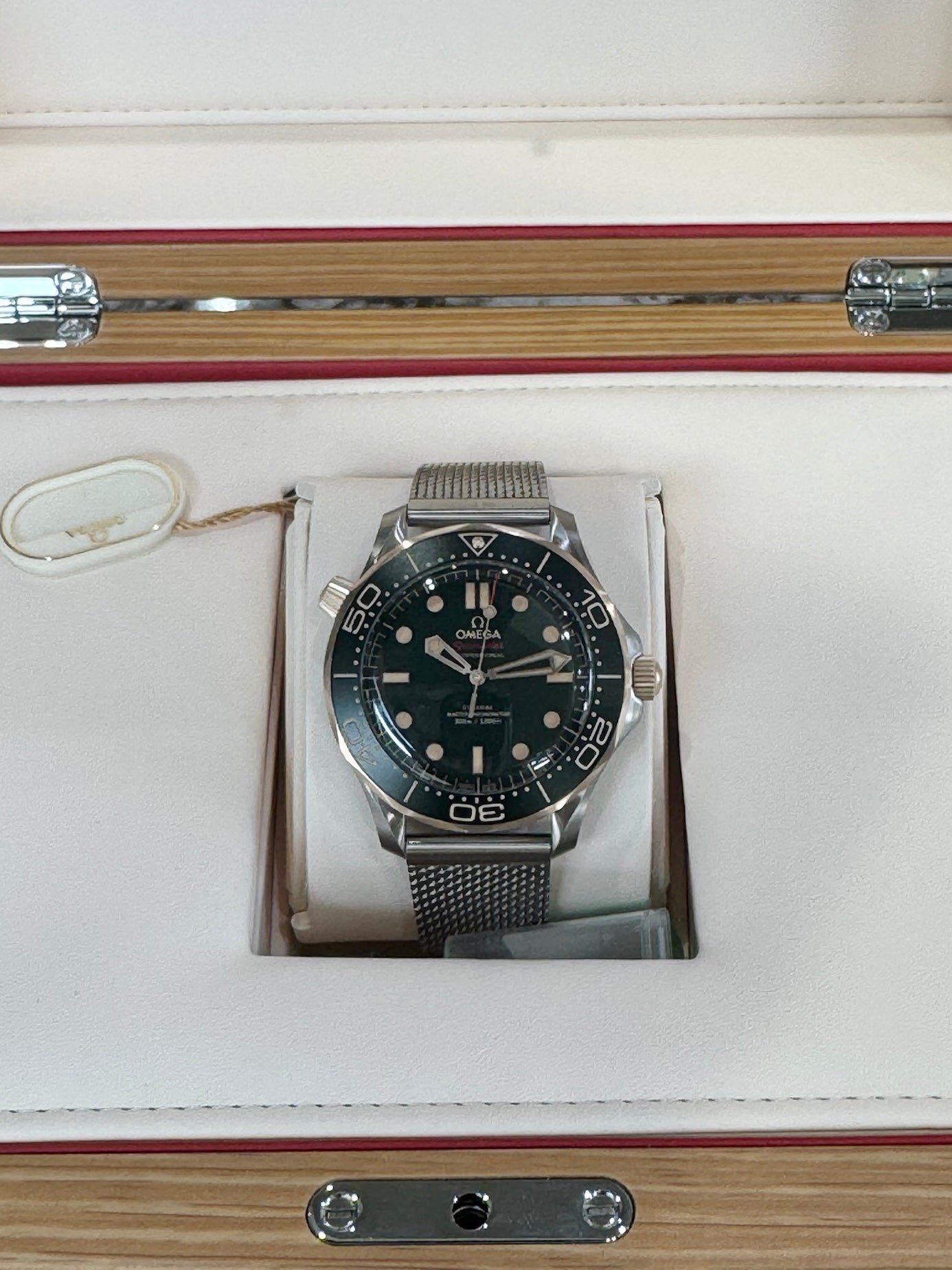 2025 Omega Professional Seamaster Diver