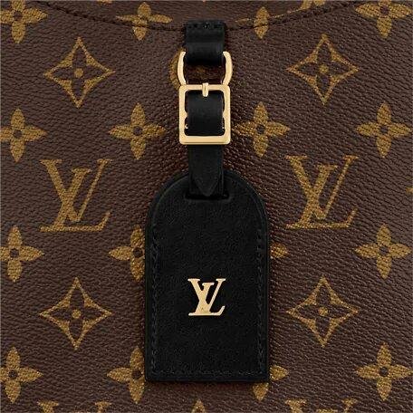 Louis Vuitton ODÉON PM Bag Black - Image 5